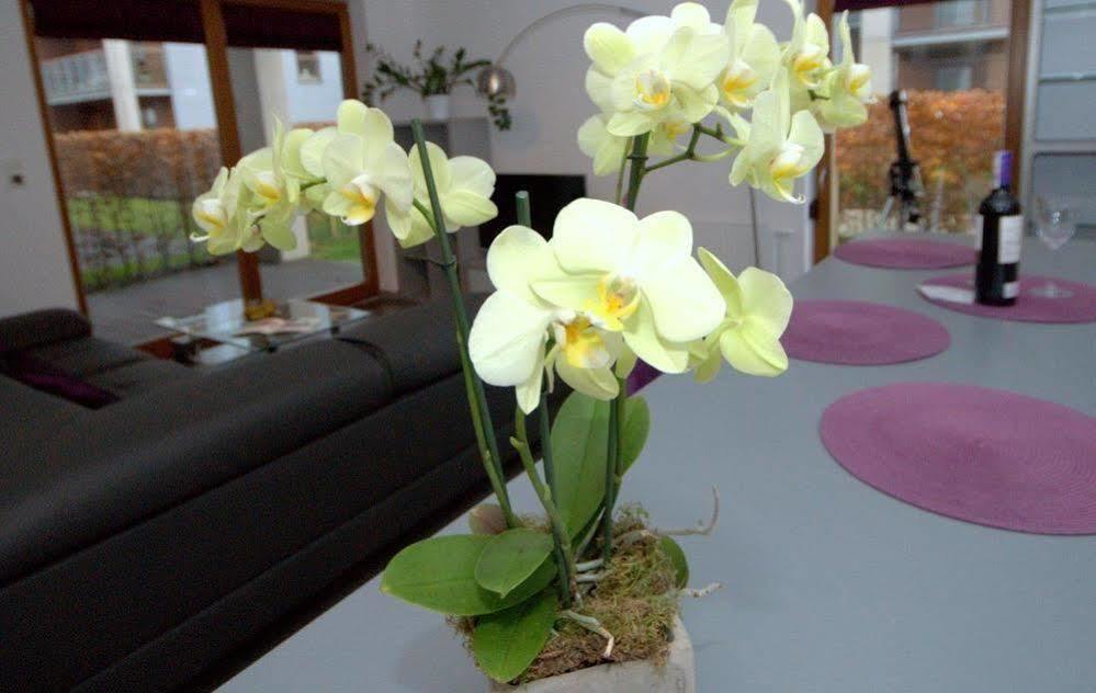 Irs Royal Apartments Apartamenty Irs Nadmorski Dwor グダニスク エクステリア 写真